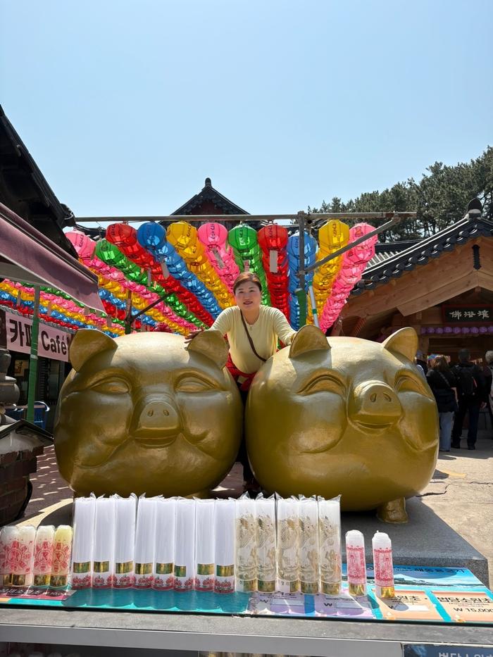 235149625_VvkLbzta_660beeb04db3816c1cbae83cc717bdd6f071386d.jpg 이미지크게보기