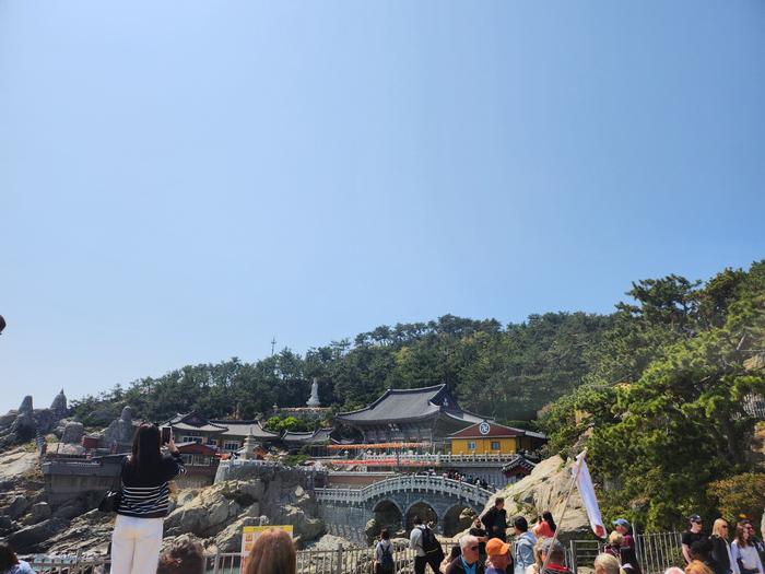 235149625_sCH5XBVA_942749406b3ae90cce0df36631294b18830da06a.jpg 이미지크게보기